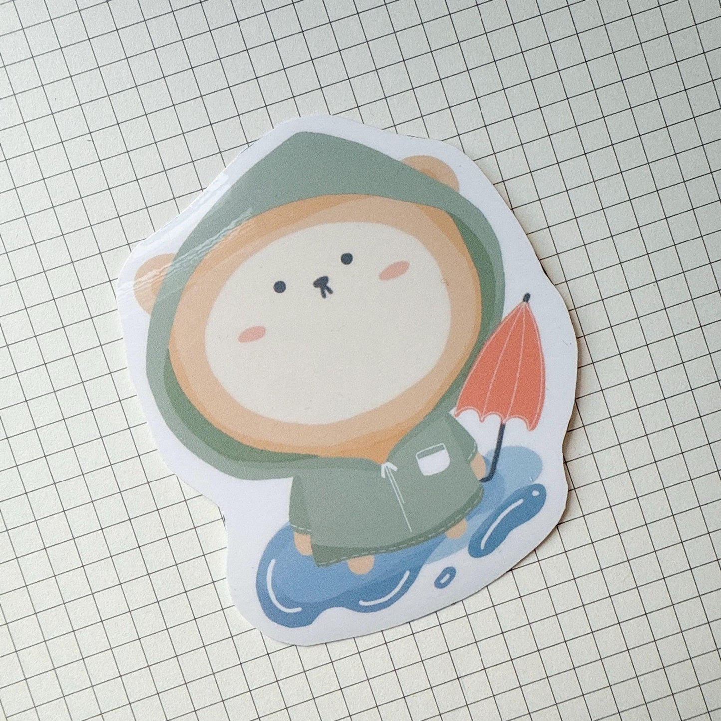 Raincoat bear