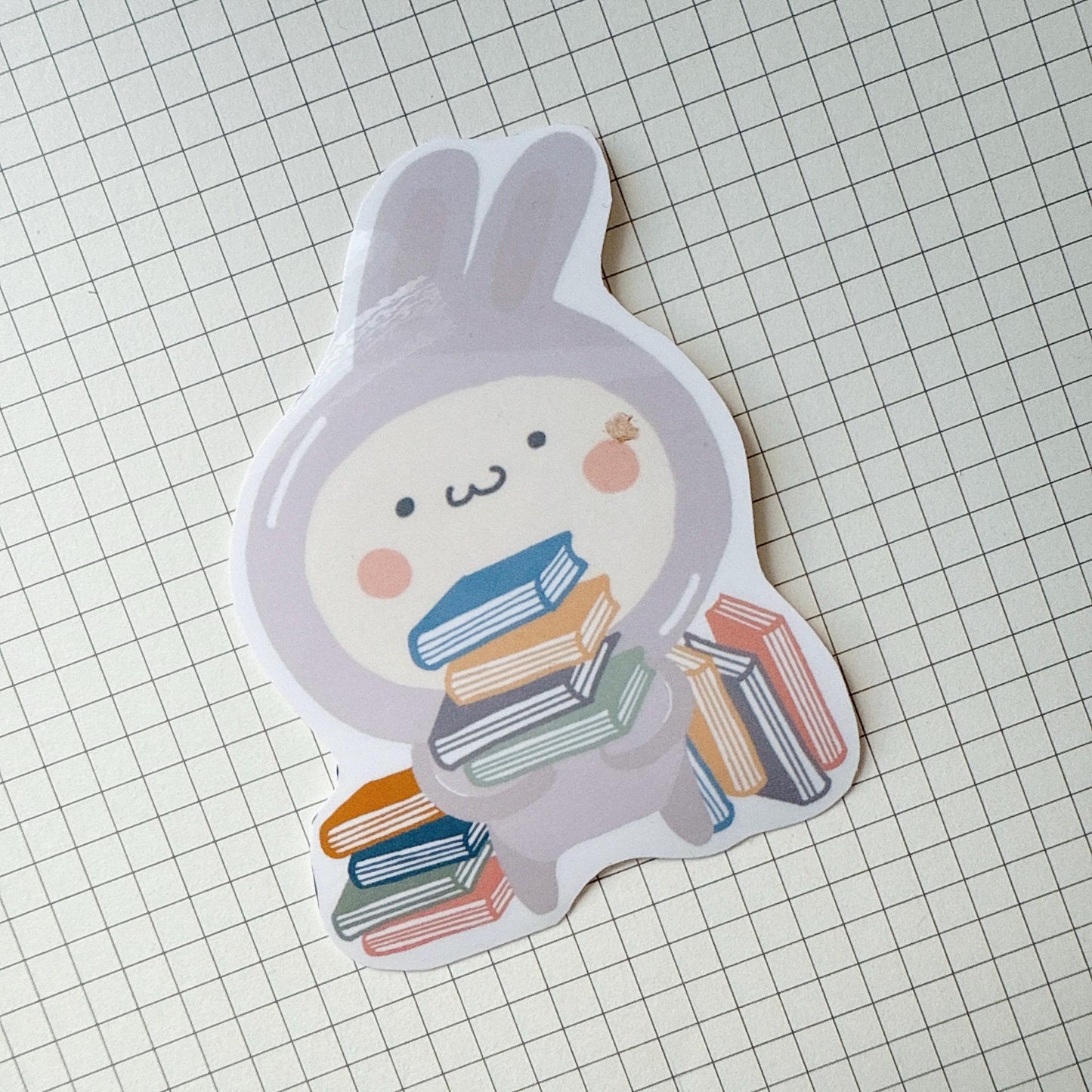 Bunny reader