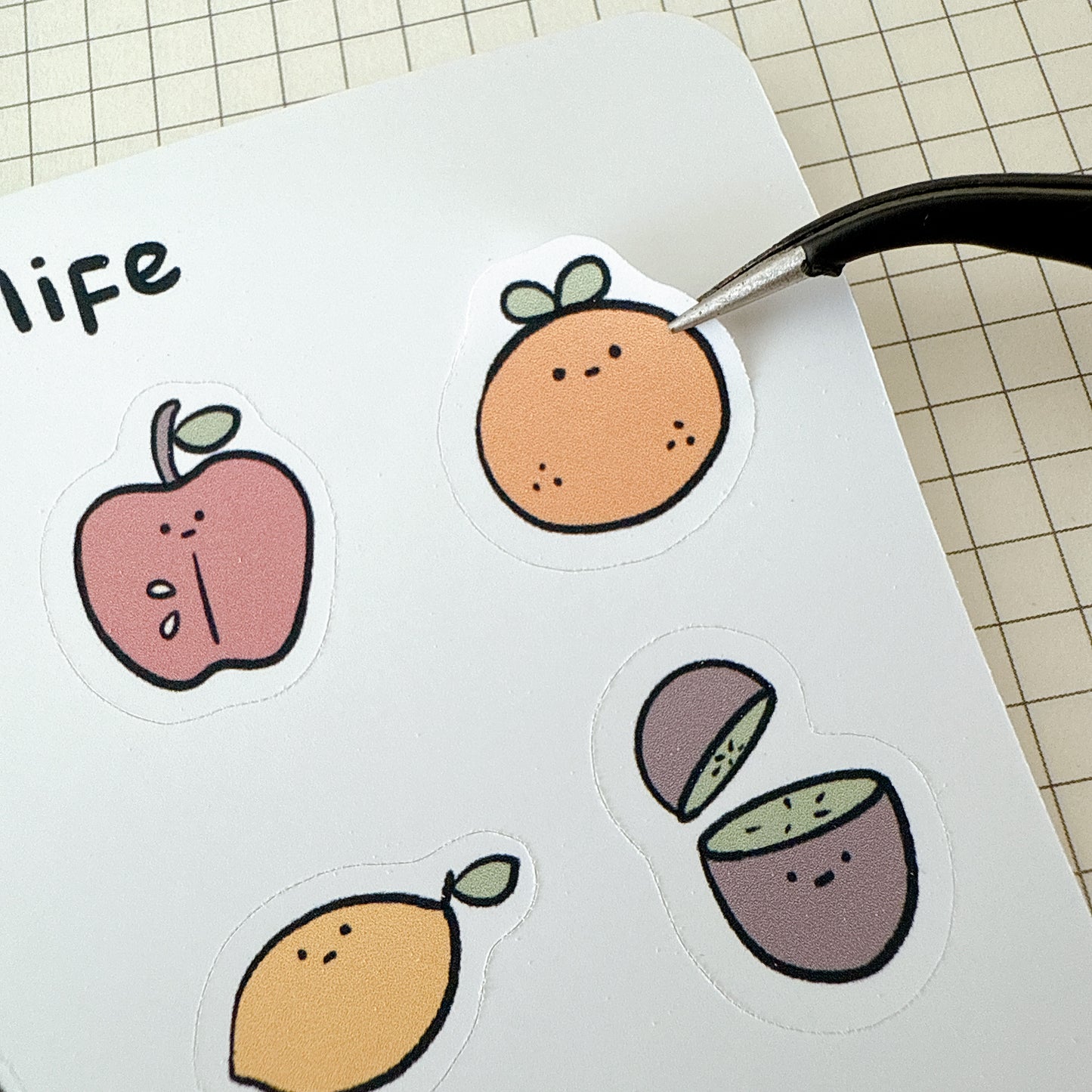 Fruit Life