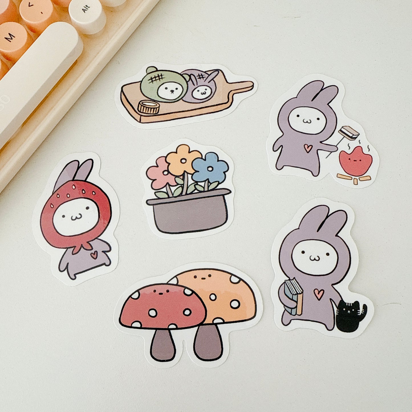 Bunny’s world