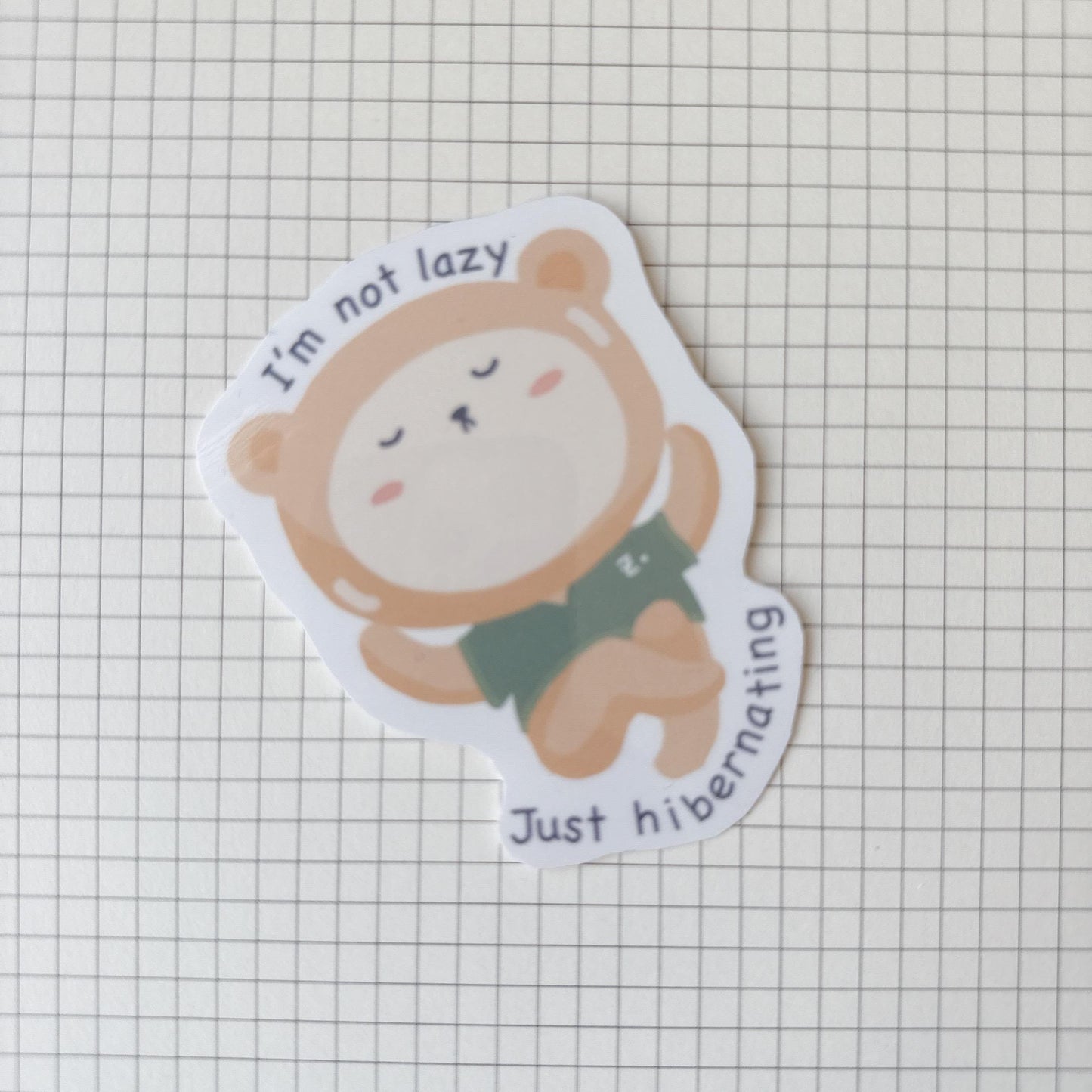 I am not lazy