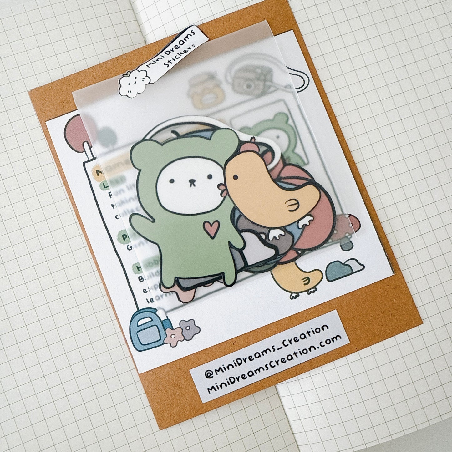 All about Bean the Bear