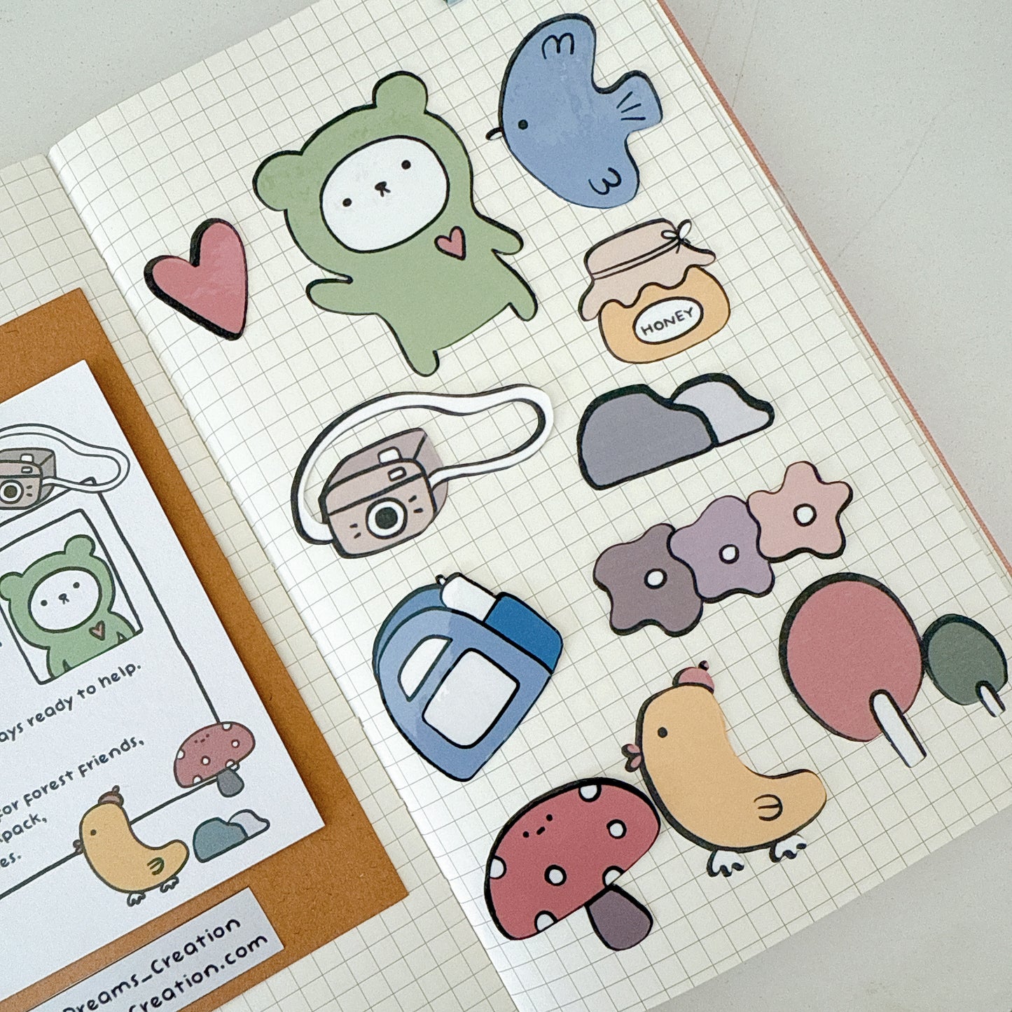 All about Bean the Bear