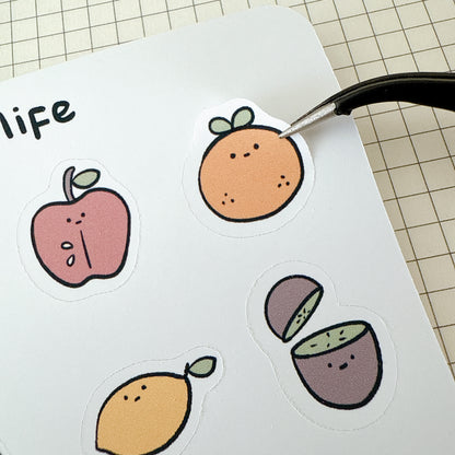 Fruit Life